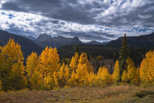 falltrees_mtns